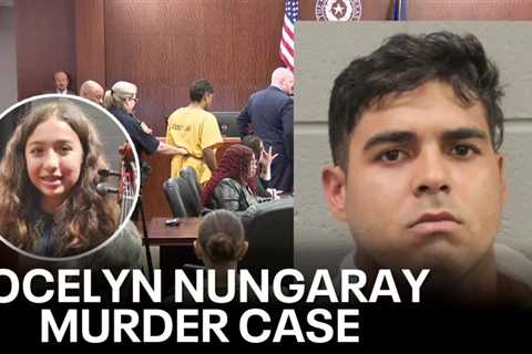 Jocelyn Nungaray murder case: Key developments and $10 million bail for suspects