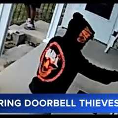 String of Ring doorbell thefts under investigation