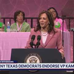 Many Texas Dems endorse Kamala Harris for president