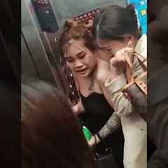 Women Trapped In Elevator With Fighting Dogs