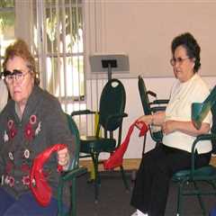 Government Support for Seniors in San Tan Valley, AZ