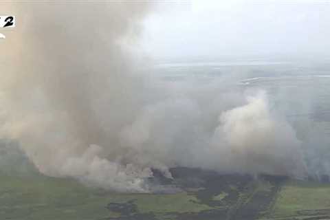 Wildfire in Brazoria County 80-percent contained