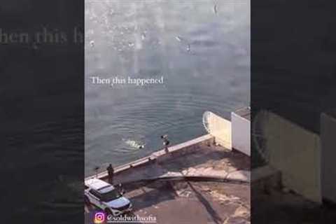 Heroic Rescue Of Pup From Ocean