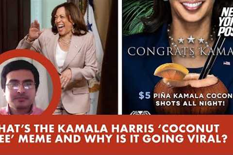 What’s the Kamala Harris ‘coconut tree’ meme and why is it going viral?