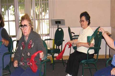 Government Support for Seniors in San Tan Valley, AZ