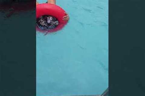 Mother Has Hilarious Pool Inflatable Fail