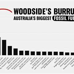 An update on our campaign against Woodside