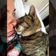 Affectionate Cat Lays On Her And Rubs Nose