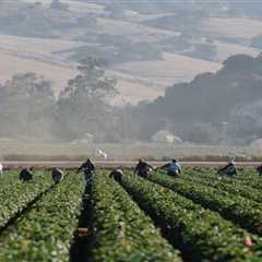 California lawmakers call for heat protections for farmworkers