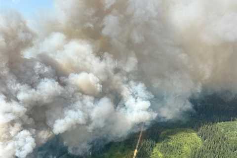 Wildfires Are Creating Their Own Thunderstorms