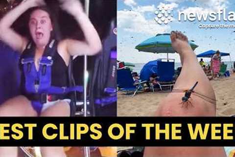 Crazy Swarm Of Insects At Beach - Best Clips Of The Week #10