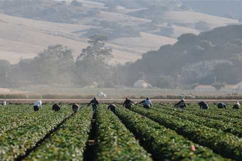 California lawmakers call for heat protections for farmworkers