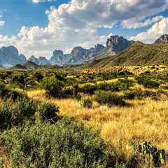 Exploring the Cultural Heritage of Central Texas