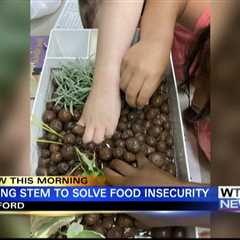 Ole Miss professor solves food insecurity with STEM