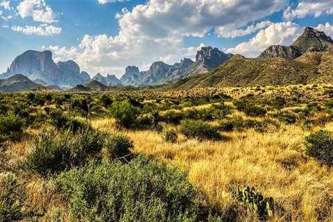 Exploring the Cultural Heritage of Central Texas