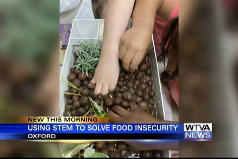 Ole Miss professor solves food insecurity with STEM