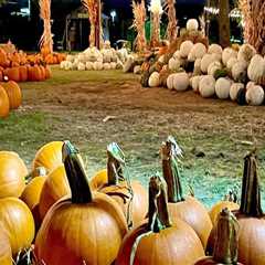 The Best Ways to Stay Updated on Fall Festivals in Tarrant County, Texas