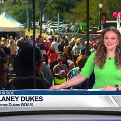 Loblolly Festival brings in crowd to downtown Laurel