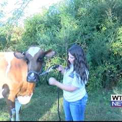 Outdoor Adventures with Chelsea: Day in the life of a dairy farmer