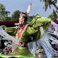 The Diversity of Attendees at Dance Festivals in Erie County, NY