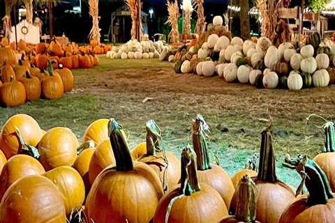 The Best Ways to Stay Updated on Fall Festivals in Tarrant County, Texas