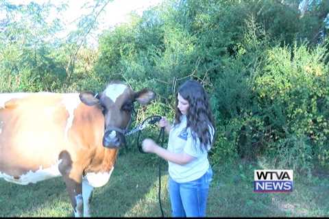 Outdoor Adventures with Chelsea: Day in the life of a dairy farmer