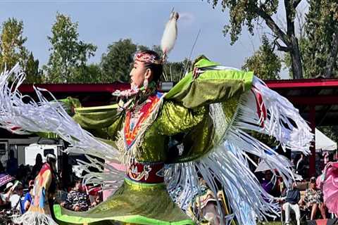 The Diversity of Attendees at Dance Festivals in Erie County, NY