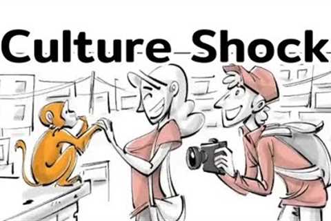 Culture Shock[Shorts Version] #travel #psychology #sociology #cultureshock #sproutsschools