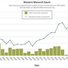 California’s Monarch Butterfly Population Plummets to Near-Record Low