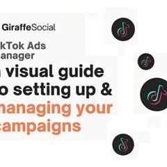 TikTok Ads Manager: A Visual Infographic Guide