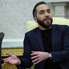 El Salvador President Nayib Bukele: All You Need to Know