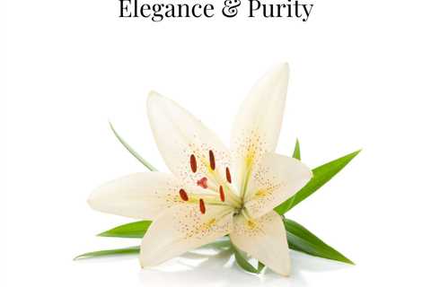 Lily Perfume: Experience Its Captivating Beauty