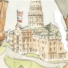 The Impact of Social Media on Political Activities in Southeast Texas: An Expert's Perspective