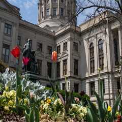 The Importance of Budgeting for Public Leadership in Hall County, Georgia