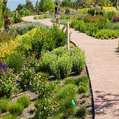 Uncovering the Magic of the Red Butte Garden Outdoor Concert Series in Salt Lake County, Utah