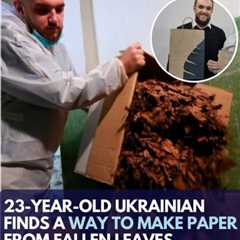 Dead Leaves Can Be Used to Make Paper