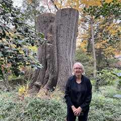 All Climate Change Is Local: A Story of Tacoma Park’s Trees With Author Mike Tidwell