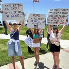 Anti-Trump Protestors Show Great Cleverness