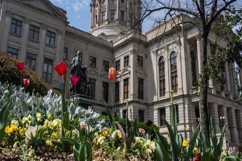 The Importance of Budgeting for Public Leadership in Hall County, Georgia