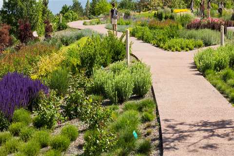 Uncovering the Magic of the Red Butte Garden Outdoor Concert Series in Salt Lake County, Utah