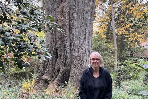 All Climate Change Is Local: A Story of Tacoma Park’s Trees With Author Mike Tidwell