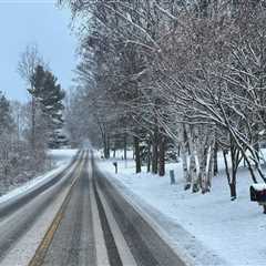 Expert Insights: The Weather During Annual Celebrations in Kent County, Michigan