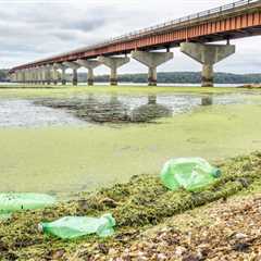 Environmental Groups Successfully Petition Alabama to Update Water Toxicity Standards