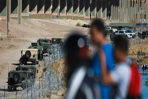 The Impact of Immigration on Democracy in Southeast Texas: An Expert's Perspective