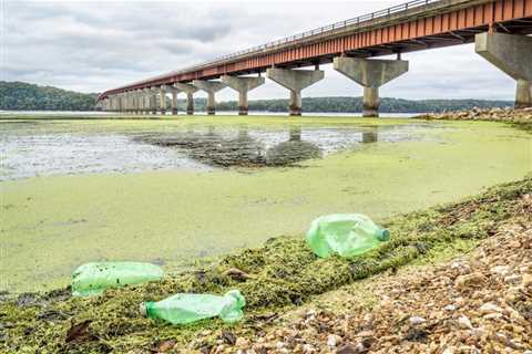 Environmental Groups Successfully Petition Alabama to Update Water Toxicity Standards