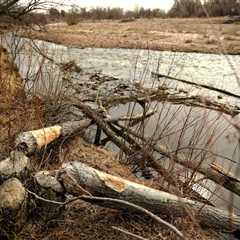 ‘Poisoning the Well’ Authors Sharon Udasin and Rachel Frazin on PFAS Contamination and Why It ‘Has..