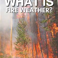What Is Fire Weather? Is it Preventable?