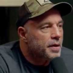 Joe Rogan Reveals the Reasons He Decided to Interview Trump on His Podcast Before the Election..
