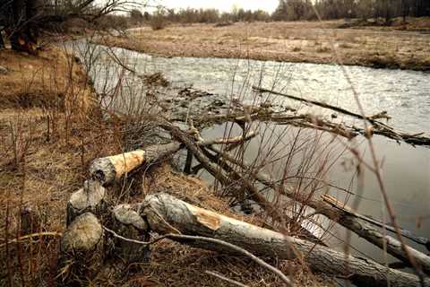 ‘Poisoning the Well’ Authors Sharon Udasin and Rachel Frazin on PFAS Contamination and Why It ‘Has..