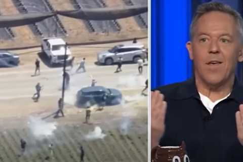 Greg Gutfeld: ‘The Modern Democrat Picks the Wrong Side in Every Contest – Imagine Watching Jaws..